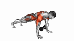 Dumbbell Plank Pullthrough