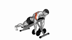 Prone rear delt fly