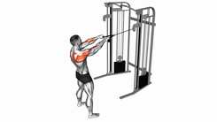 Cable Standing Face Pull with Rope