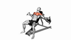 Lever Incline Fly