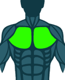 Chest