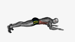 Front Plank