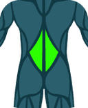 Lumbar