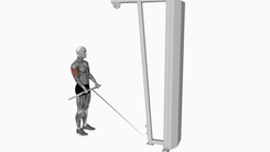 Cable reverse curl