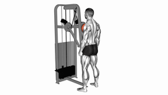 Lever Standing Lateral Raise