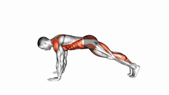 Plancha con elevación alternada de brazo y pierna