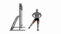 Band Hip Adduction