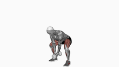 Dumbbell Bar Grip Sumo Squat