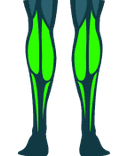Panturrilhas